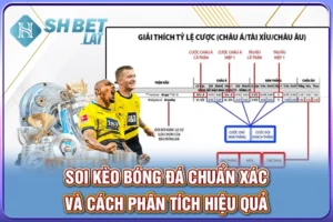 Soi Kèo Bóng Đá - Thông tin kèo cược chuẩn, kèo vip 2025